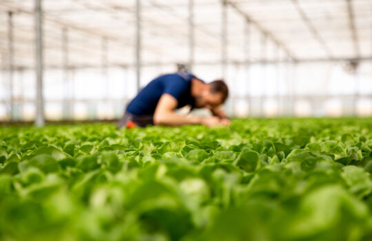 accompagnement solutions protection irrigation chipier