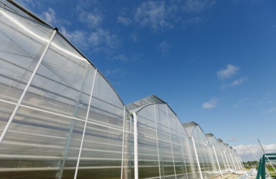 installation serres agricoles chipier