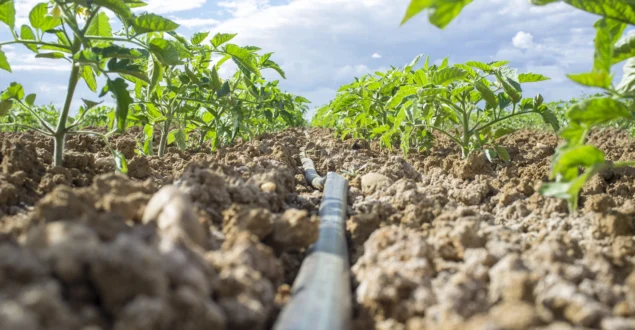 micro irrigation