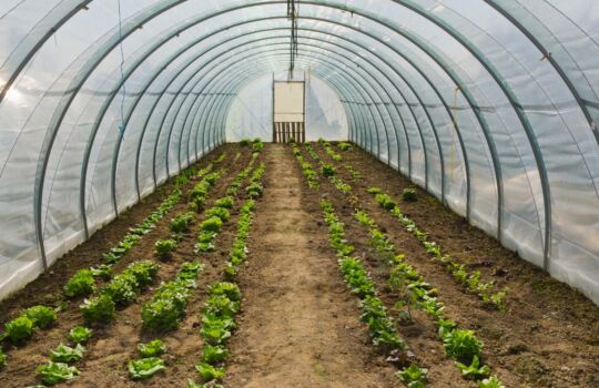 solutions irrigation protection exploitant agricole chipier